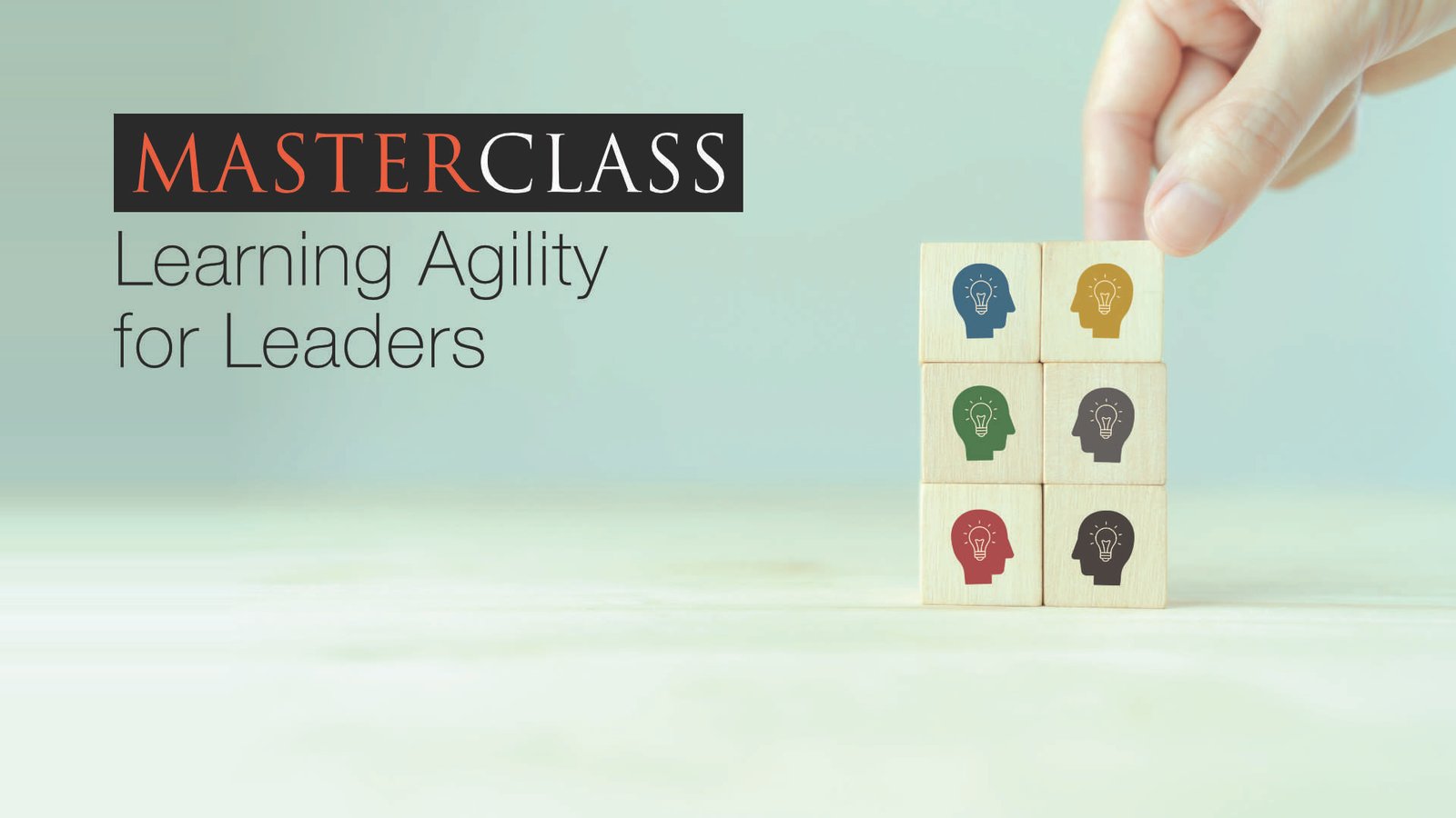 Learning Agility for Individuals